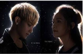 以娱乐圈为题的电视剧,娱乐圈风云录